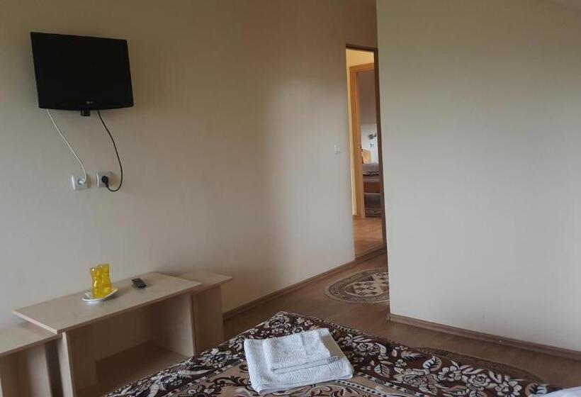 اتاق استاندارد, Pensiunea Dealul Frumos