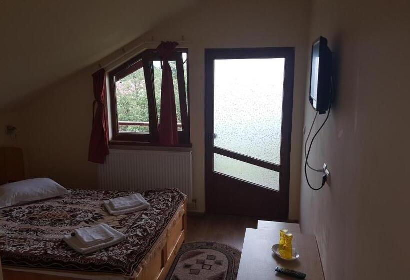 اتاق استاندارد, Pensiunea Dealul Frumos