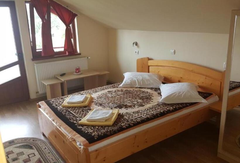 اتاق استاندارد, Pensiunea Dealul Frumos