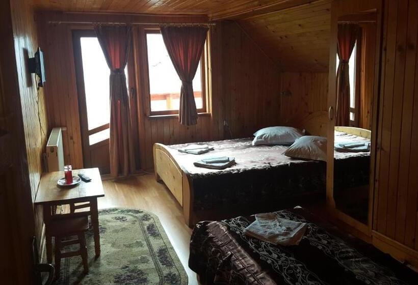 اتاق استاندارد سه نفره, Pensiunea Dealul Frumos