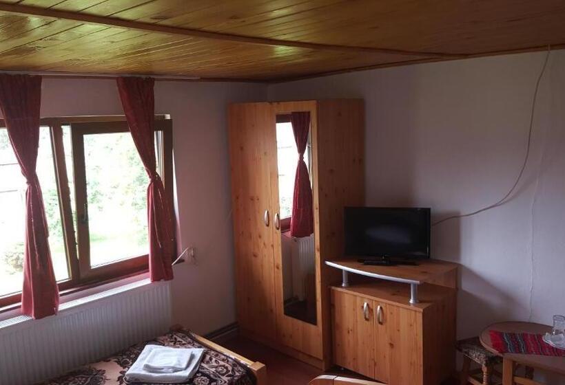 اتاق استاندارد سه نفره, Pensiunea Dealul Frumos