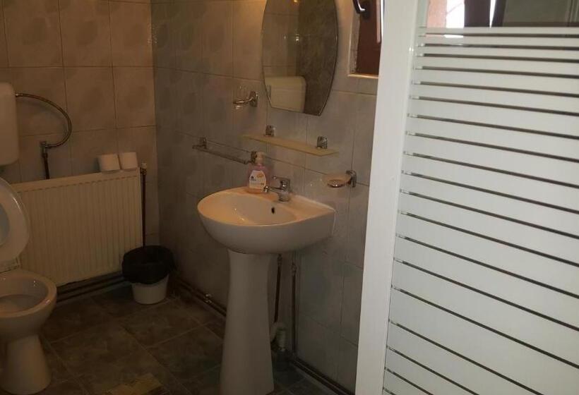 اتاق استاندارد سه نفره, Pensiunea Dealul Frumos