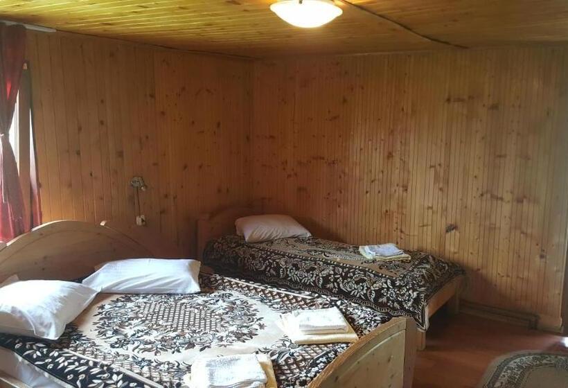 اتاق استاندارد سه نفره, Pensiunea Dealul Frumos