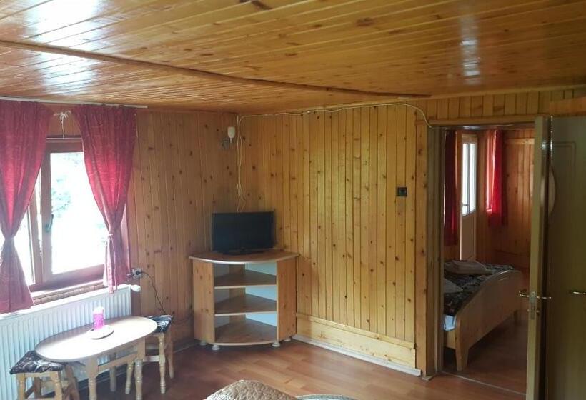 اتاق استاندارد چهار تخته, Pensiunea Dealul Frumos