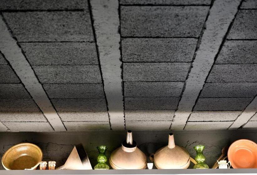 דירת חדר דלוקס, Lughia