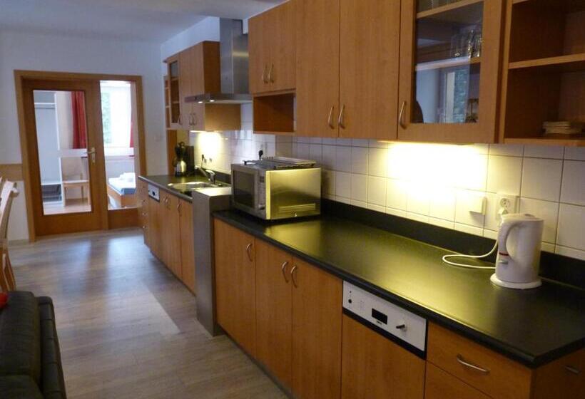 شقة 3 غرف, Skiresort Pec Poustevnik