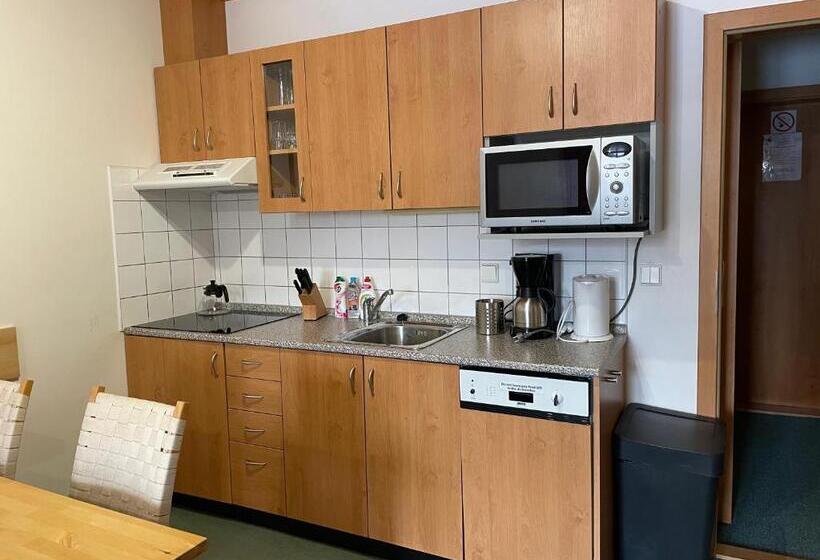 شقة بغرفة نوم واحدة, Skiresort Pec Poustevnik