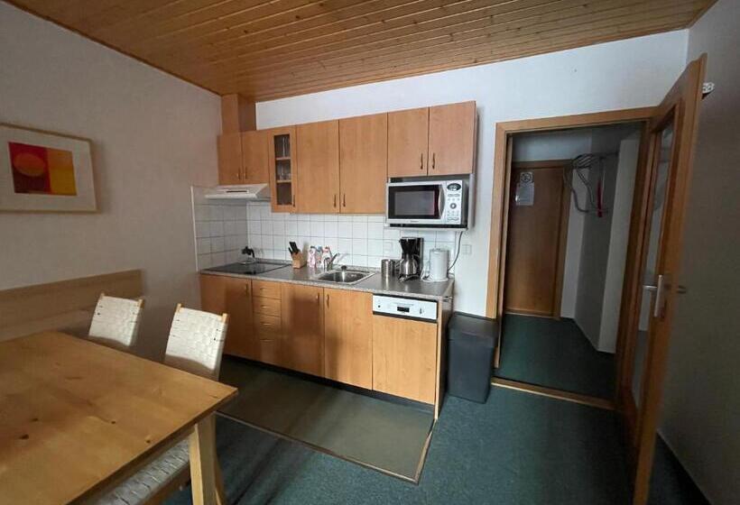 شقة بغرفة نوم واحدة, Skiresort Pec Poustevnik