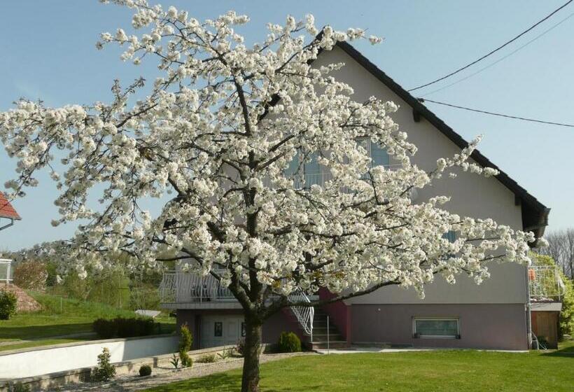 Номер Стандарт Вид на Сад, Chez Anny Et Jean Au Mittelbuehl