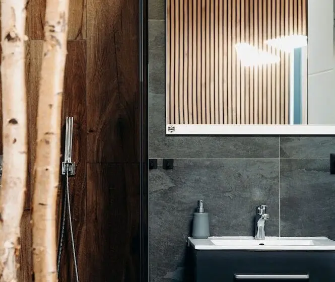 デラックスルーム, La Villa D Hélène 2   Chambres D Hôtes Bnb Et Appartements   Cluses