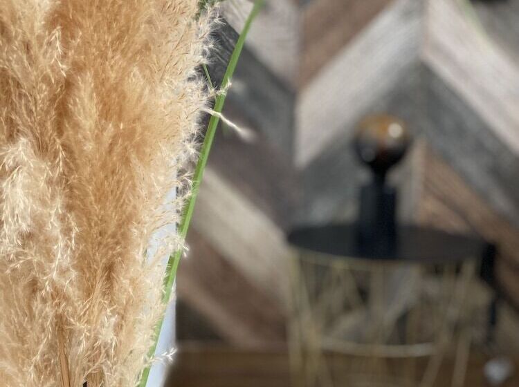 חדר דלוקס, La Villa D Hélène 2   Chambres D Hôtes Bnb Et Appartements   Cluses