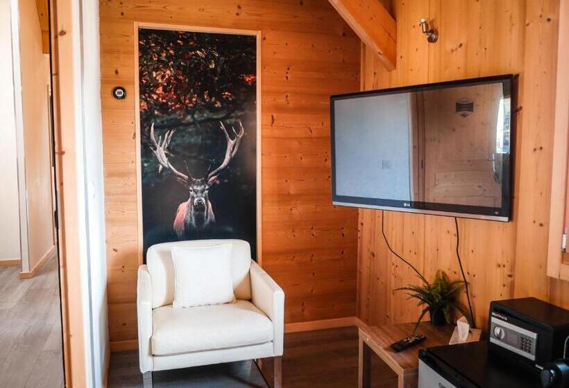 חדר סטנדרט חדר אמבטיה משותף, La Villa D Hélène 2   Chambres D Hôtes Bnb Et Appartements   Cluses