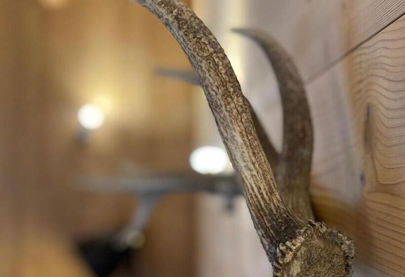 חדר סטנדרט חדר אמבטיה משותף, La Villa D Hélène 2   Chambres D Hôtes Bnb Et Appartements   Cluses