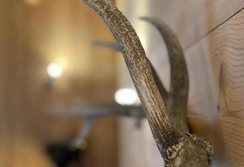 バス共有のスタンダードルーム, La Villa D Hélène 2   Chambres D Hôtes Bnb Et Appartements   Cluses