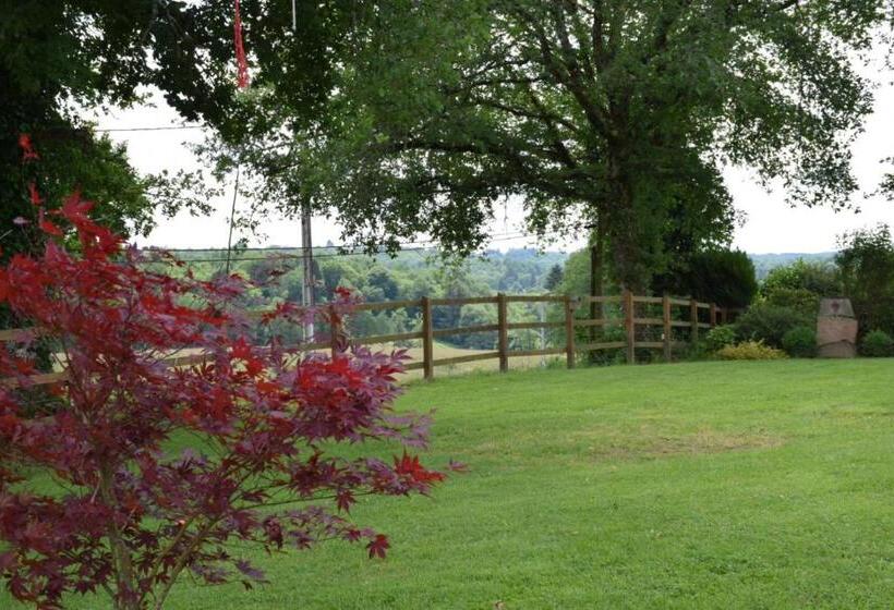 带大床的豪华间, Libellule