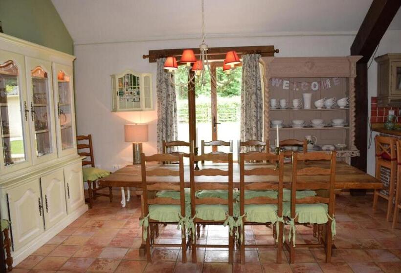 标准间, Libellule