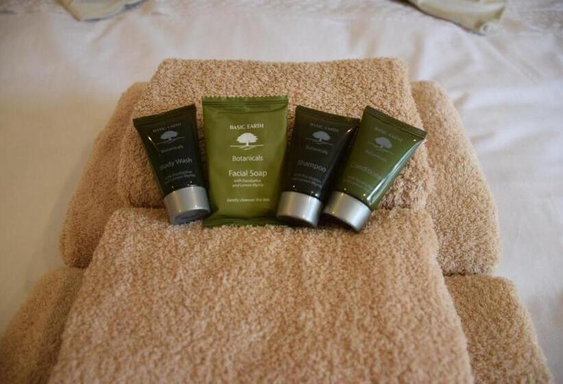 标准间, Libellule