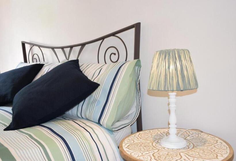 标准间, Libellule