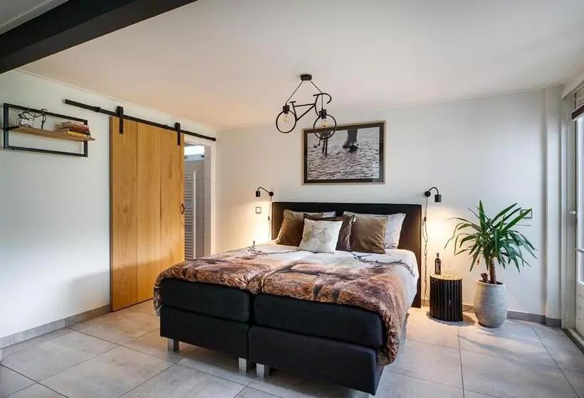 Standard-huone, Velo Droom