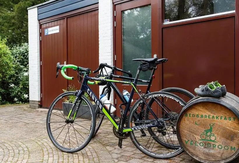 Standard-huone, Velo Droom