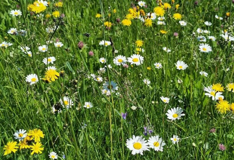 Апартаменты 1 Спальня, Bauernhof Bethuber