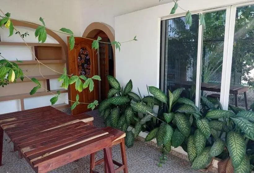 テラス付き１ベッドルームアパートメント, Palmas De Chahue