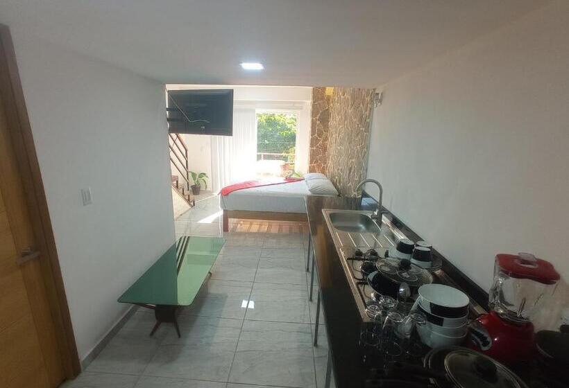 침실 1개 발코니 아파트, Palmas De Chahue