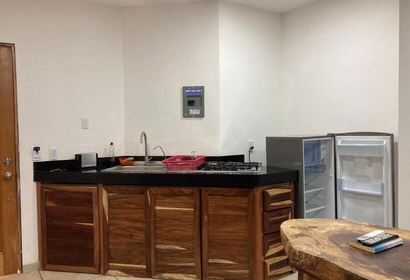 스탠다드 스튜디오, Palmas De Chahue