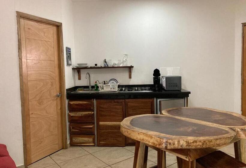 스탠다드 스튜디오, Palmas De Chahue