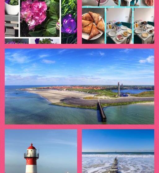 スタンダードルーム, B&b Binisa