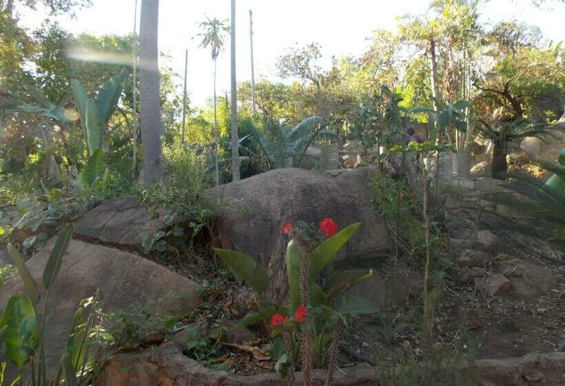 דירת חדר בקומת קרקע, Leopard Tree Retreat