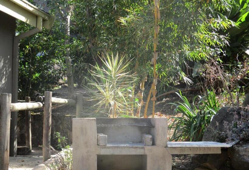 شقة غرفة نوم واحدة بالطابق الأرضى, Leopard Tree Retreat