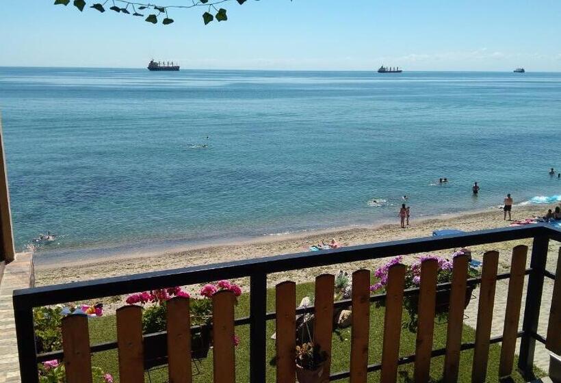 オーシャンビュースタンダードルーム, Hemingway Rooms In Happy Beach