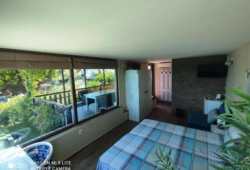 オーシャンビュースタンダードルーム, Hemingway Rooms In Happy Beach