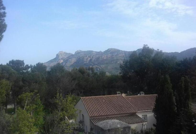 Номер Deluxe, Palayson