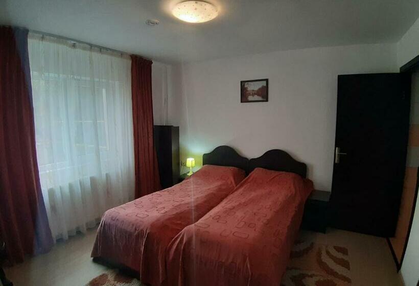 Quarto Estandar, Steaua Nordului