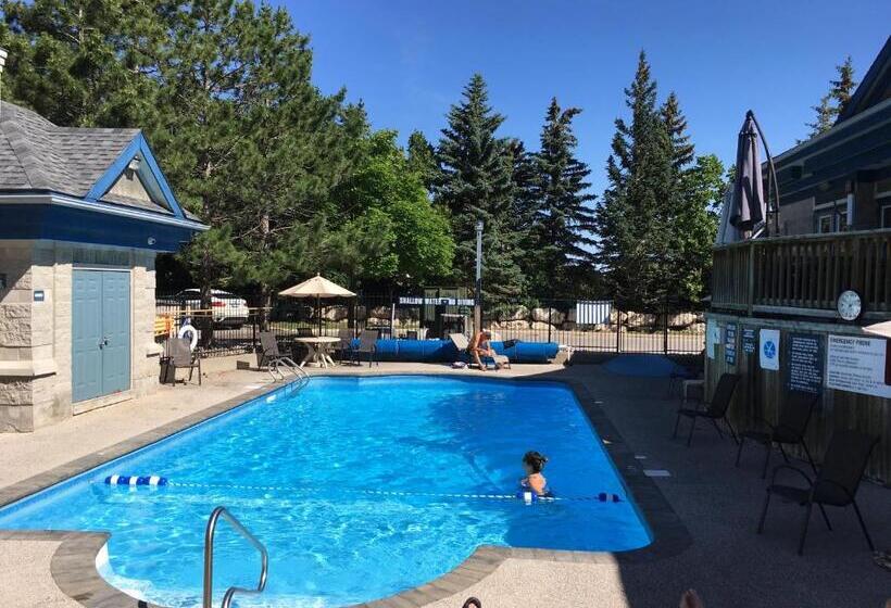 Апартаменты 1 Спальня, Blue Mountain Studio Loft At North Creek Resort