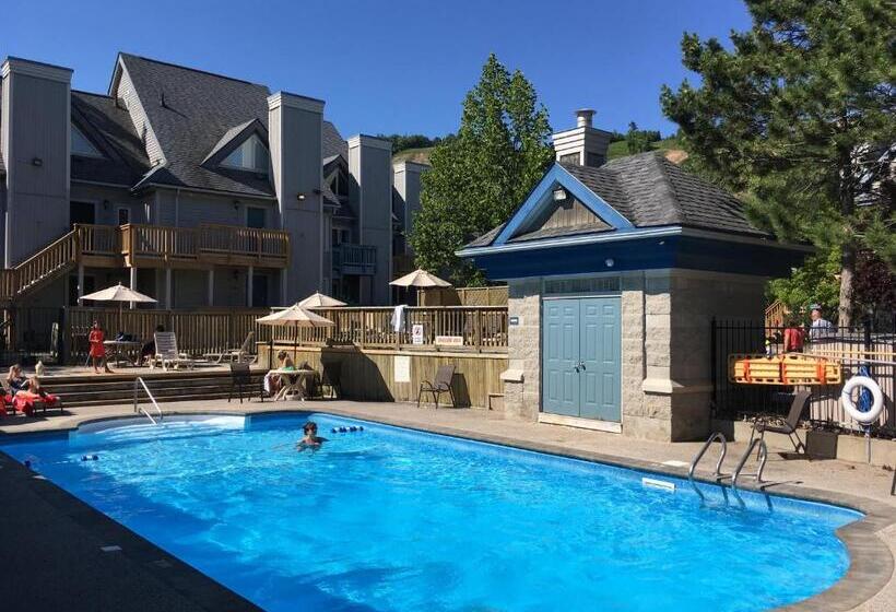 Апартаменты 1 Спальня, Blue Mountain Studio Loft At North Creek Resort