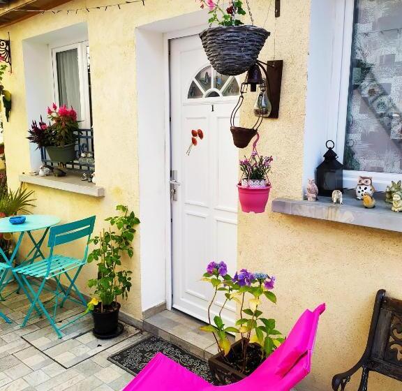 スタンダードルーム, Les Coquelicots