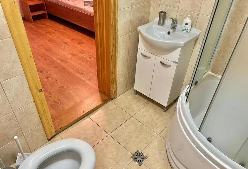 Апартаменты 1 Спальня, Pensiunea Casa Nina