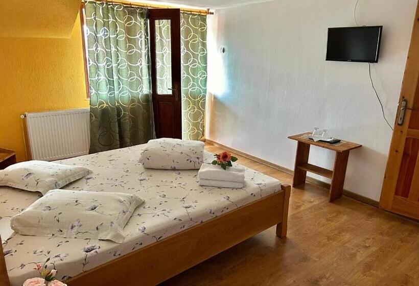 Апартаменты 1 Спальня, Pensiunea Casa Nina