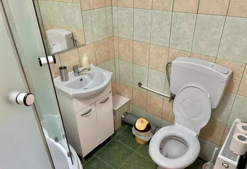 آپارتمان 1 خوابه, Pensiunea Casa Nina
