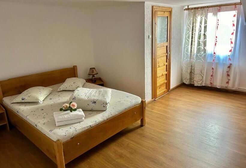 Апартаменты 1 Спальня, Pensiunea Casa Nina