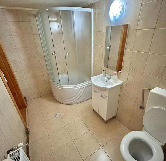 Номер Стандарт Трехместный, Pensiunea Casa Nina