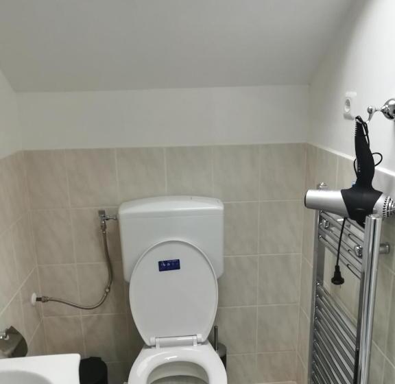 스탠다드 싱글 룸, Royal Guest House Ii