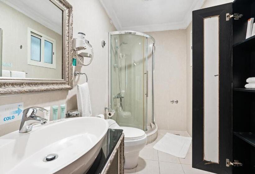 سوییت جونیور, Chairmen