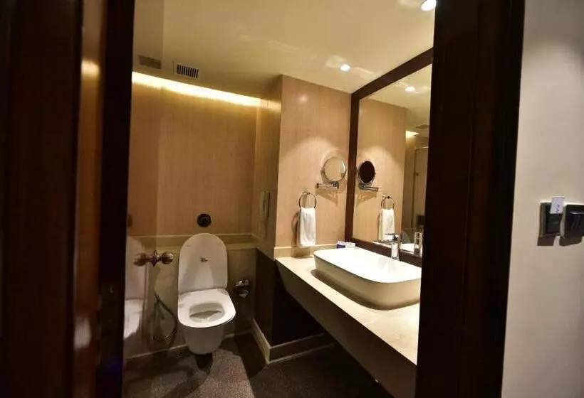 Executive-huone, Citadel Sarovar Portico Bengaluru