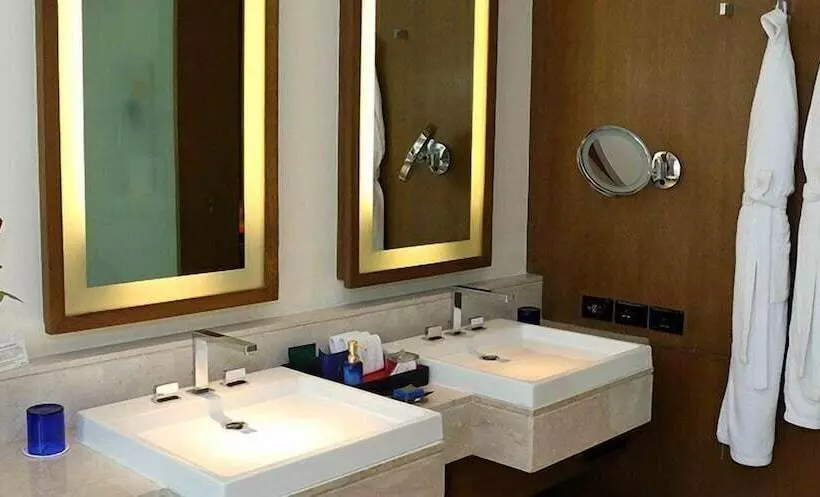 デラックスルーム, The Oberoi  Gurgaon