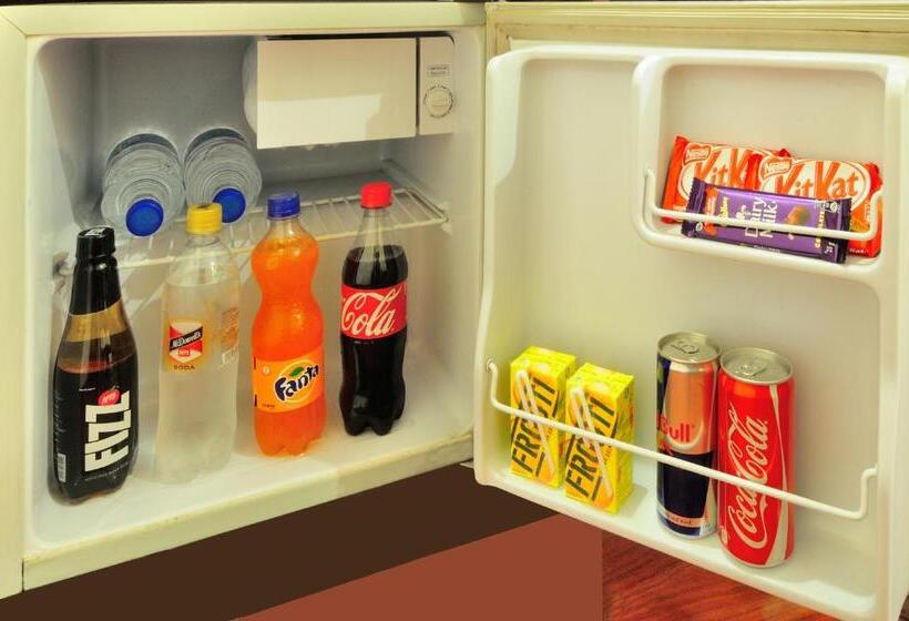 Standard Room, The Raj At New Delhi Railway Station