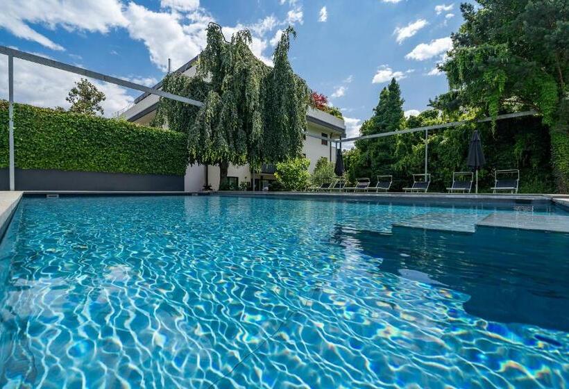 סוויטה, Goldfinger + Suites